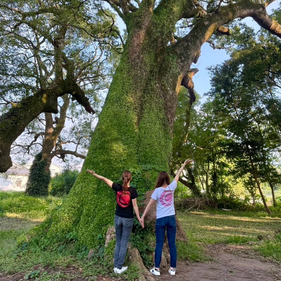 魂画Tシャツ「Harmony（ハーモニー）」