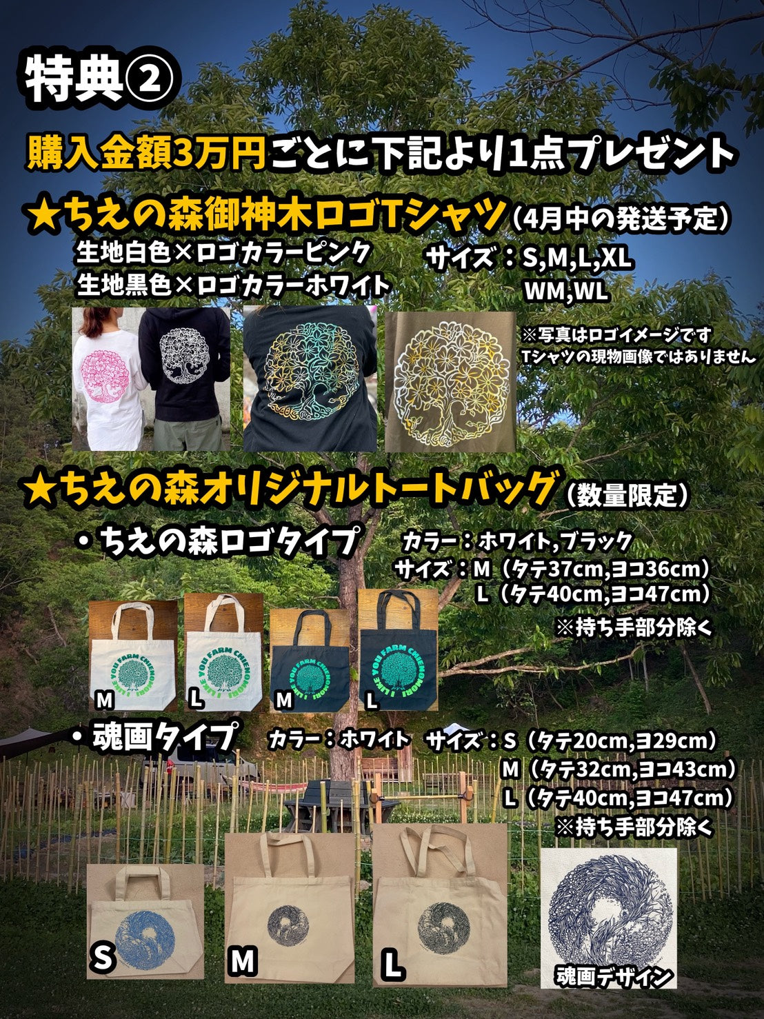 ちえの森チケット 10万円分